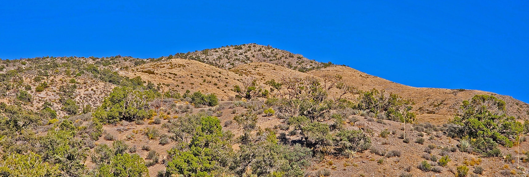 Height in Center is Southern Point of Rainbow Mountains Upper Crest Ridgeline. | Hollow Rock Peak | Rainbow Mountain Wilderness, Nevada