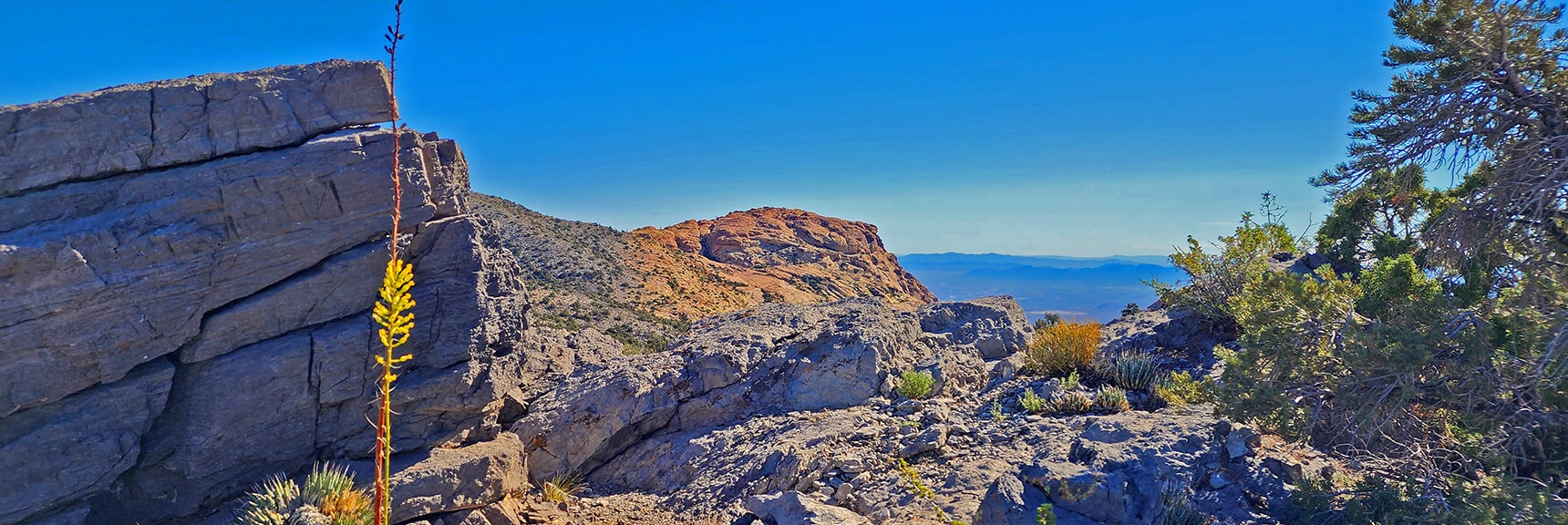 Topping the Ridgeline, Windy Peak Appears. | Hollow Rock Peak | Rainbow Mountain Wilderness, Nevada