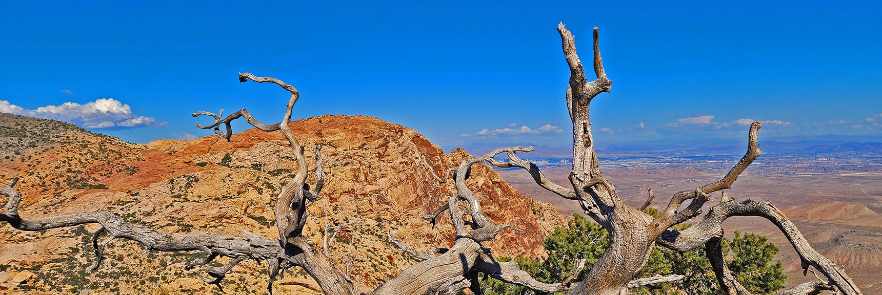 Windy Peak and Las Vegas Valley. | Hollow Rock Peak | Rainbow Mountain Wilderness, Nevada