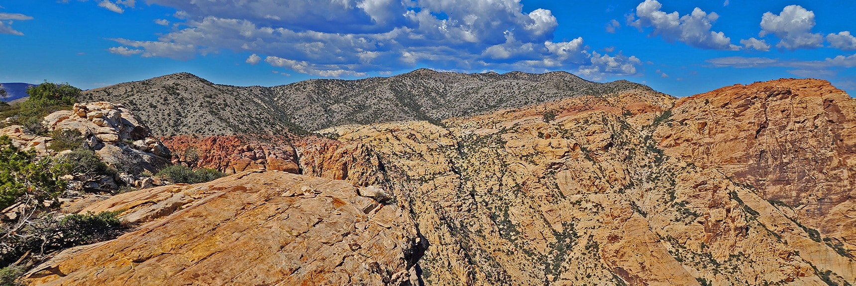 View to Rainbow Mountains Upper Crest Ridgeline. Keystone Thrust Fault Line is Where Color Changes. | Hollow Rock Peak | Rainbow Mountain Wilderness, Nevada