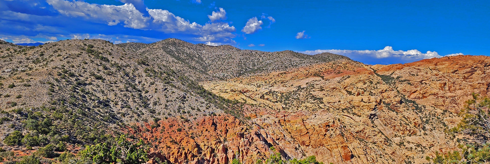 Additional View to Upper Crest Ridgeline and Keystone Thrust Faultline. | Hollow Rock Peak | Rainbow Mountain Wilderness, Nevada