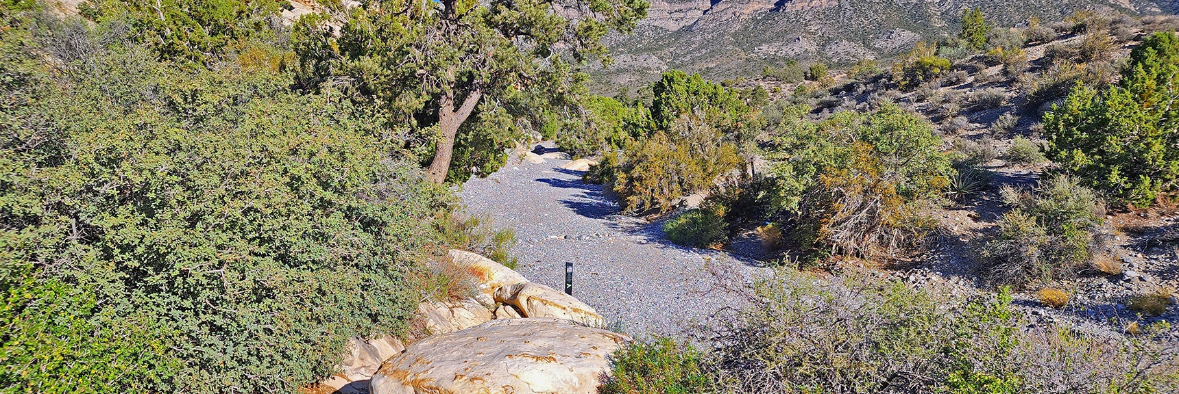 The Trail Quickly Descends into a Wash That Could Take You Exactly Below the Saddle | Kyle Canyon Grand Crossing | Southern Half | Red Rock Canyon National Conservation Area, Nevada