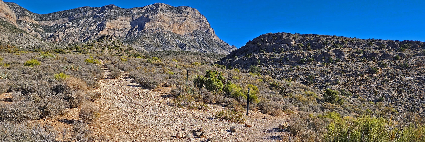 In About a Mile, Take the Old Road to the Left Toward the Saddle | Kyle Canyon Grand Crossing | Southern Half | Red Rock Canyon National Conservation Area, Nevada