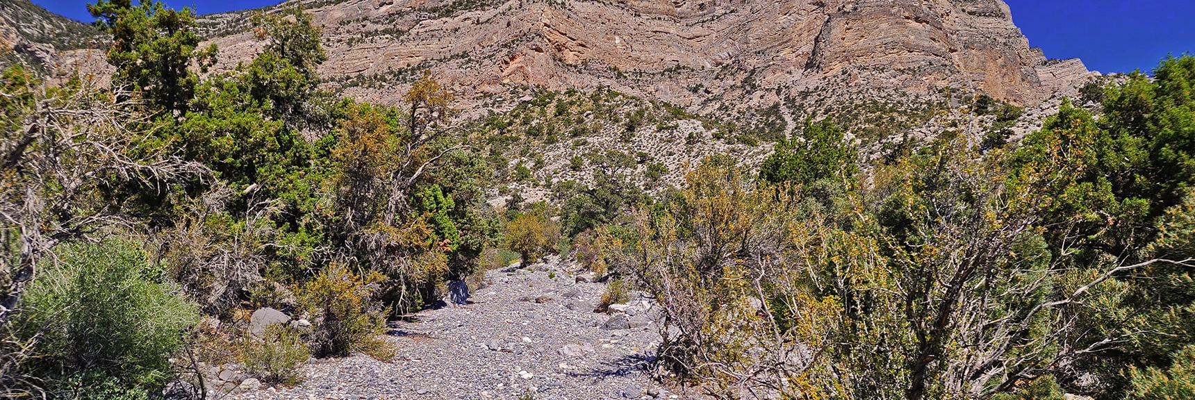 View Back Up this Wide, Open Wash | Kyle Canyon Grand Crossing | Southern Half | Red Rock Canyon National Conservation Area, Nevada