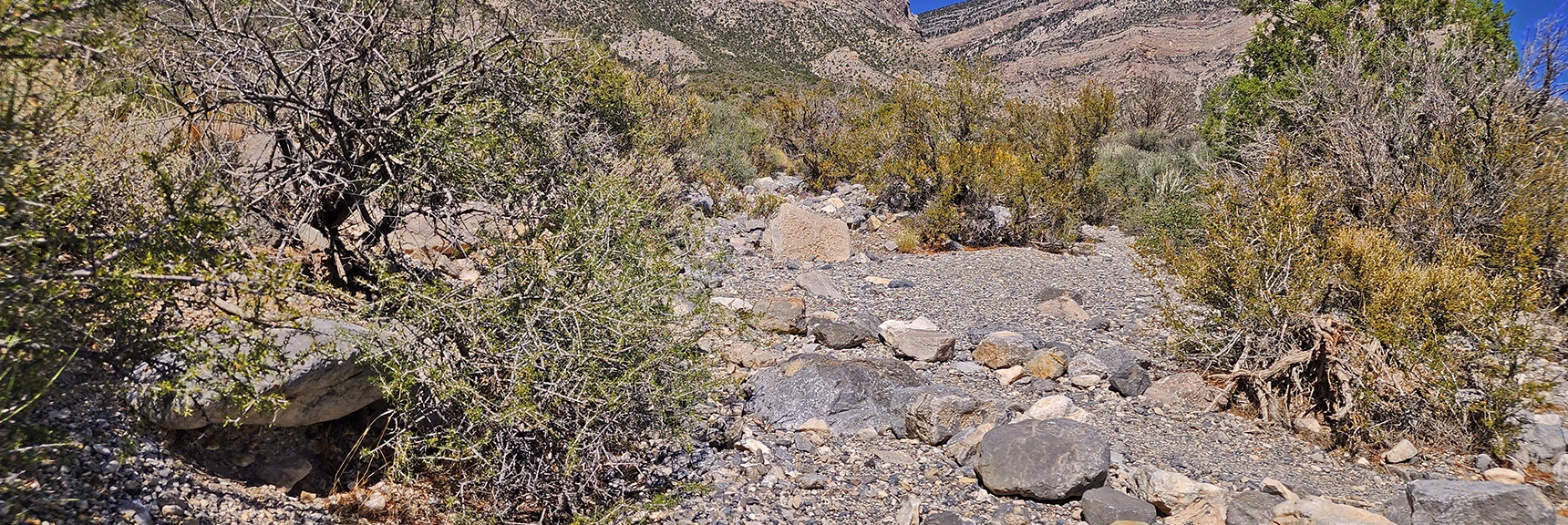 Where Trail Crosses the Wash, Take a Left to the Trailhead | Kyle Canyon Grand Crossing | Southern Half | Red Rock Canyon National Conservation Area, Nevada