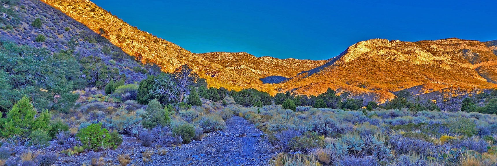 Ascending Toward La Madre Spring and Keystone Thrust | Keystone Thrust West Summit Above White Rock Mountain | La Madre Mountains Wilderness, Nevada