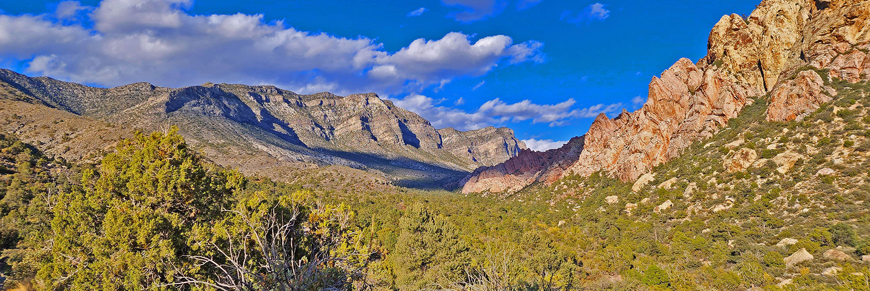 View Back Toward El Bastardo & El Padre in Evening Sun | Keystone Thrust West Summit Above White Rock Mountain | La Madre Mountains Wilderness, Nevada