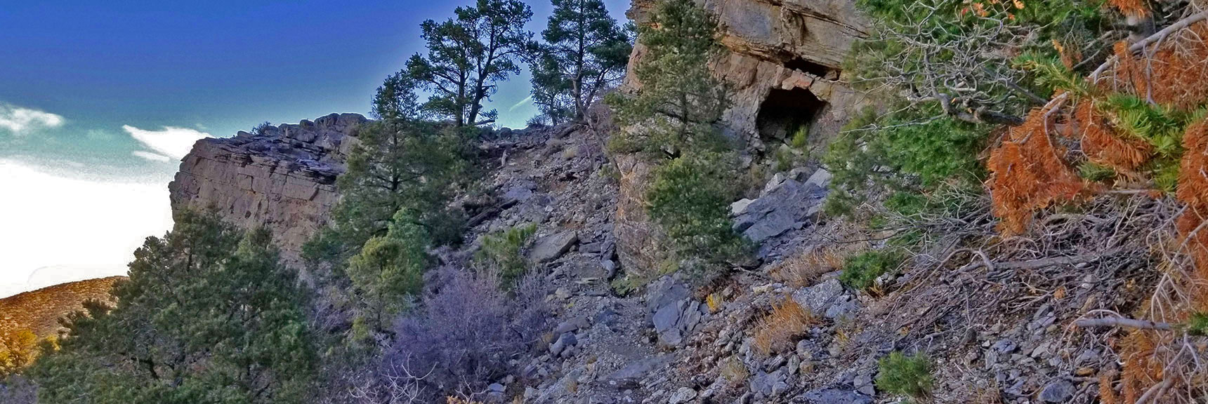 Northern Cliffs Trail | Potosi Mountain | Spring Mountains, Nevada