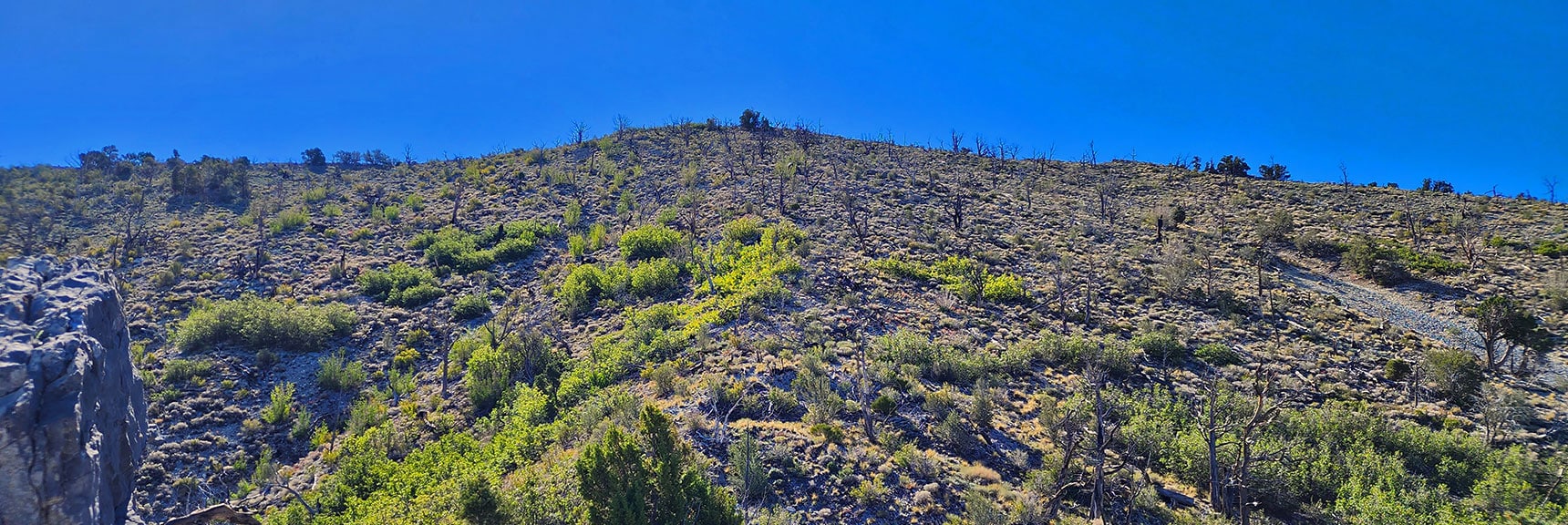 Burnt Peak | La Madre Mountains Wilderness, Nevada | Overview
