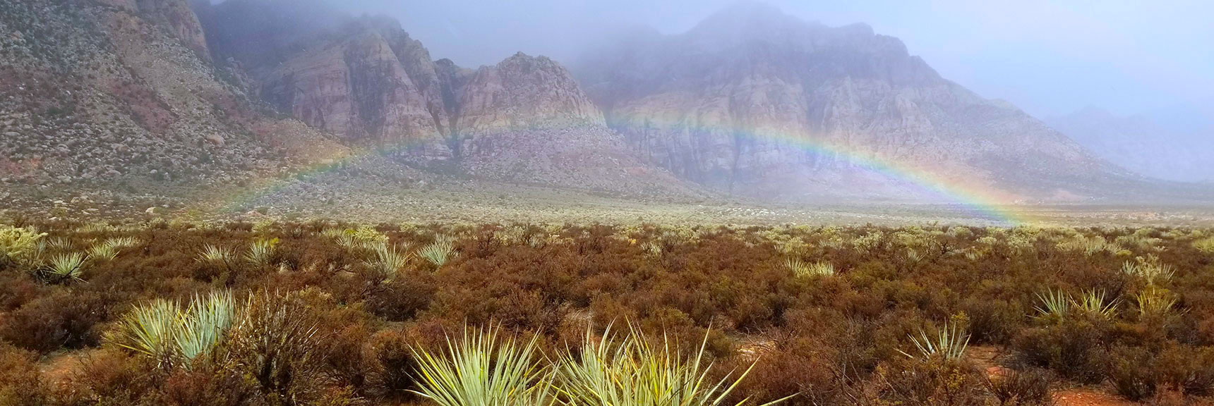 Middle Oak Creek Trail | Rainbow Mountain Wilderness, Nevada