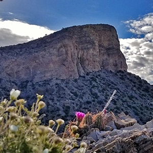 Turtlehead Peak, Red Rock Canyon National Conservation Area, Nevada