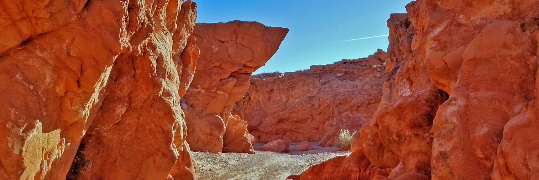 Charlies Spring Trail | Valley of Fire State Park, Nevada