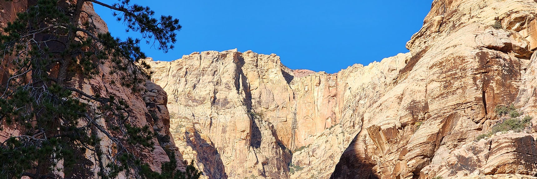 Closer View of Sheer Cliffs on the Upper Crest Ridgeline. | Rock Climber Observations | Pine Creek Canyon | Rainbow Mountain Wilderness, Nevada