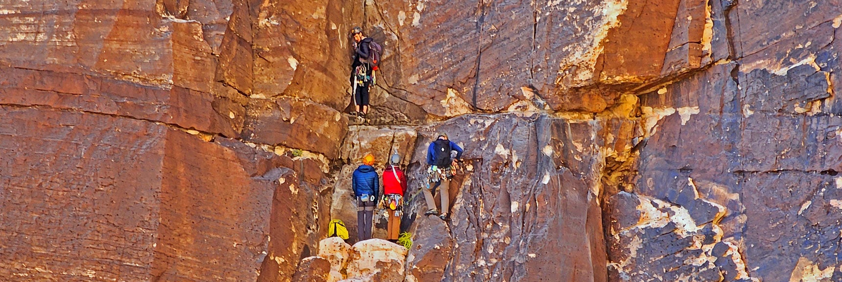 Quite a Gathering on the Ledge Below. | Rock Climber Observations | Pine Creek Canyon | Rainbow Mountain Wilderness, Nevada