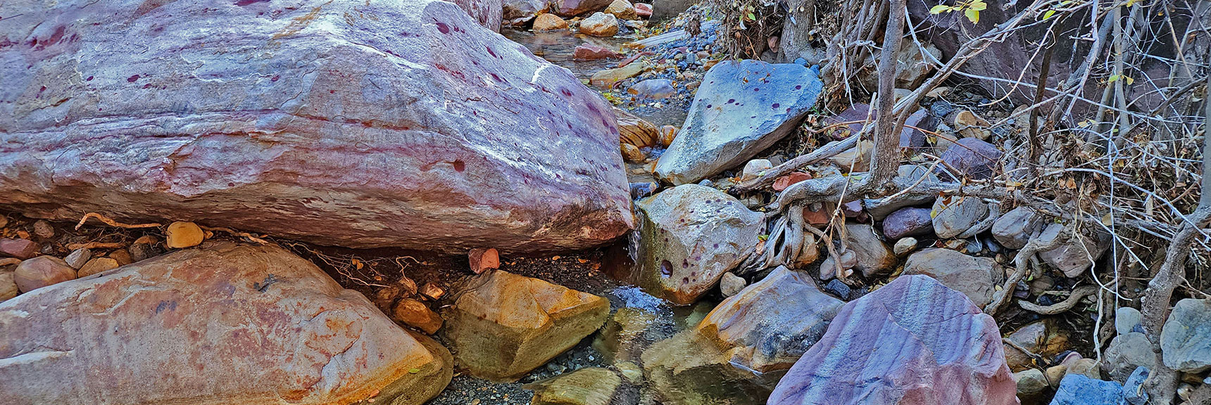 Crossing Pine Creek in the Base of the Canyon's South Branch. | Rock Climber Observations | Pine Creek Canyon | Rainbow Mountain Wilderness, Nevada
