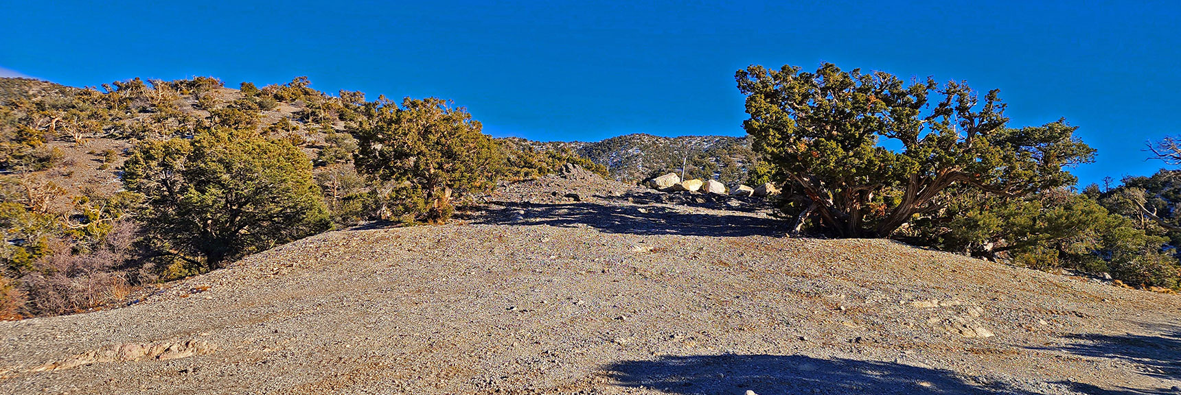 Unmarked Trailhead for North Peak and Bridge Mountain. Park at Rocky Gap Summit. | Mid Upper Crest Ridgeline | Rainbow Mountain Wilderness, Nevada