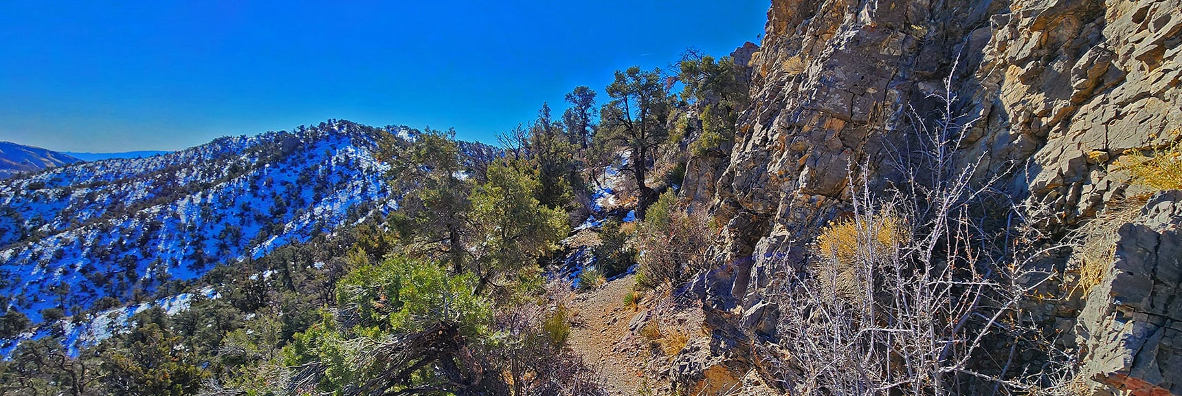 Strategy on This Trail and Ahead on the Pathless Ridge Ahead: Hug the Left Edge. | Mid Upper Crest Ridgeline | Rainbow Mountain Wilderness, Nevada