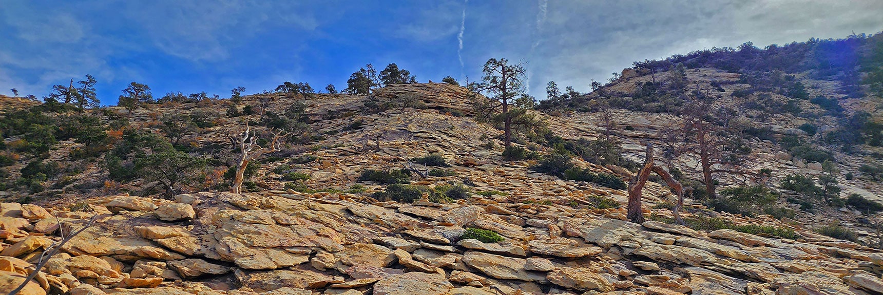 Jurassic Sandstone Formations Begin Near the Upper Ridgeline. Dangerous When Icy or Wet. | North Upper Crest Ridgeline | Rainbow Mountain Wilderness, Nevada