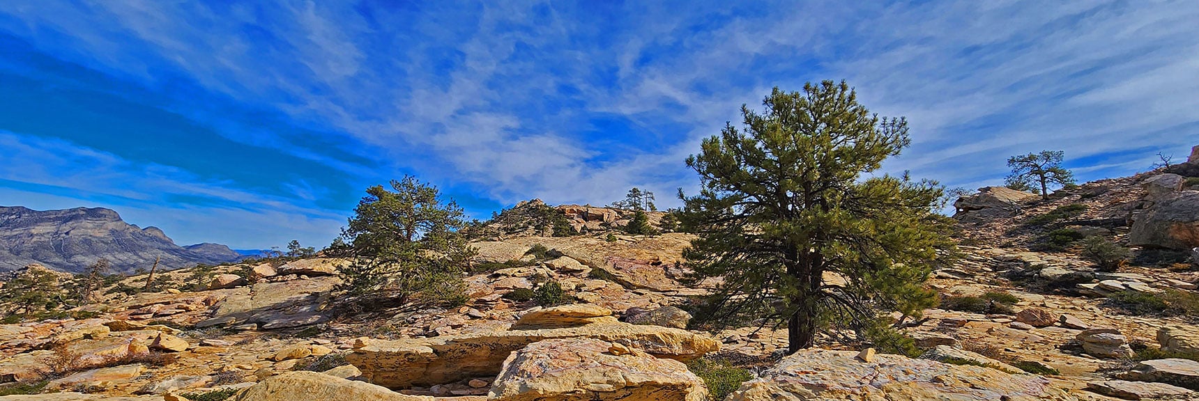 Northern View on the Upper Plateau | North Upper Crest Ridgeline | Rainbow Mountain Wilderness, Nevada