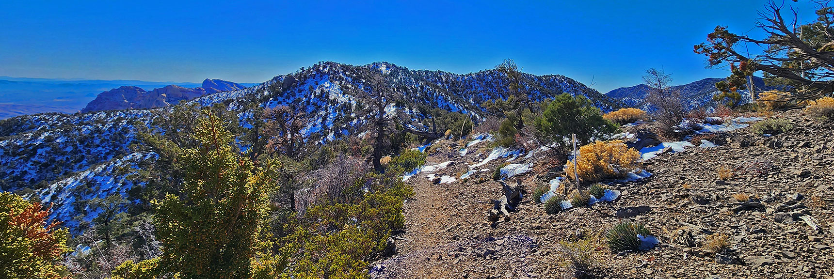 Still on the Bridge Mountain Trail, Approaching the Ridge Ahead to the South | Mid Upper Crest Ridgeline | Rainbow Mountain Wilderness, Nevada