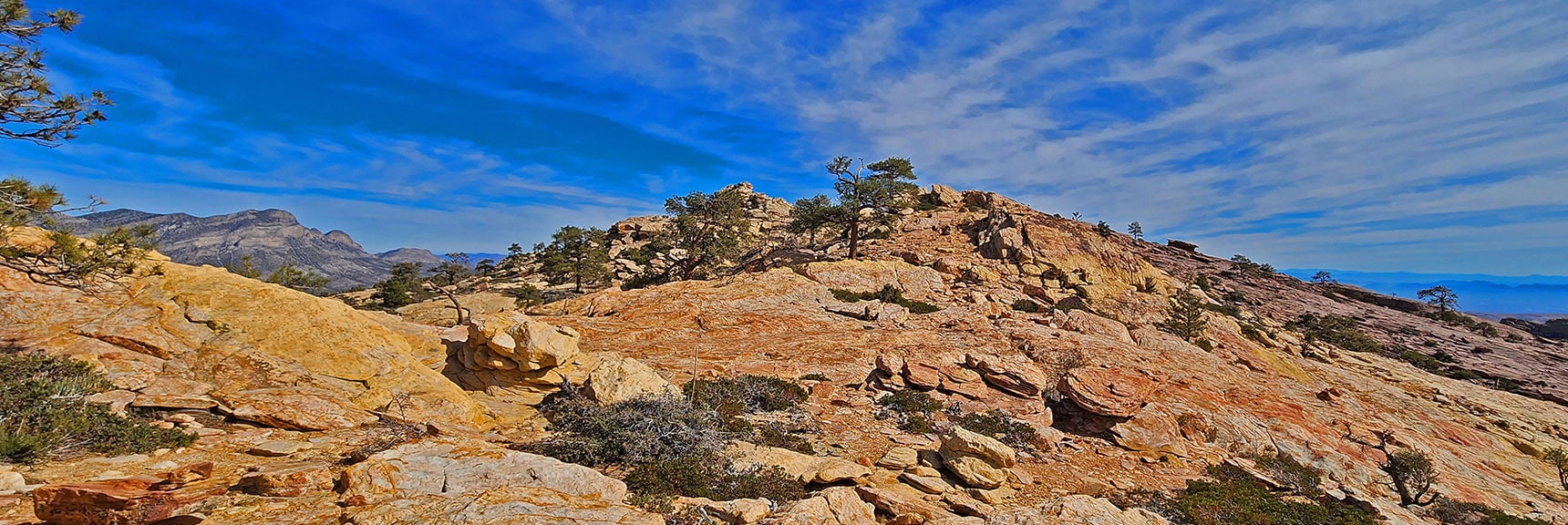 Southern View on the Ridgeline Plateau | North Upper Crest Ridgeline | Rainbow Mountain Wilderness, Nevada