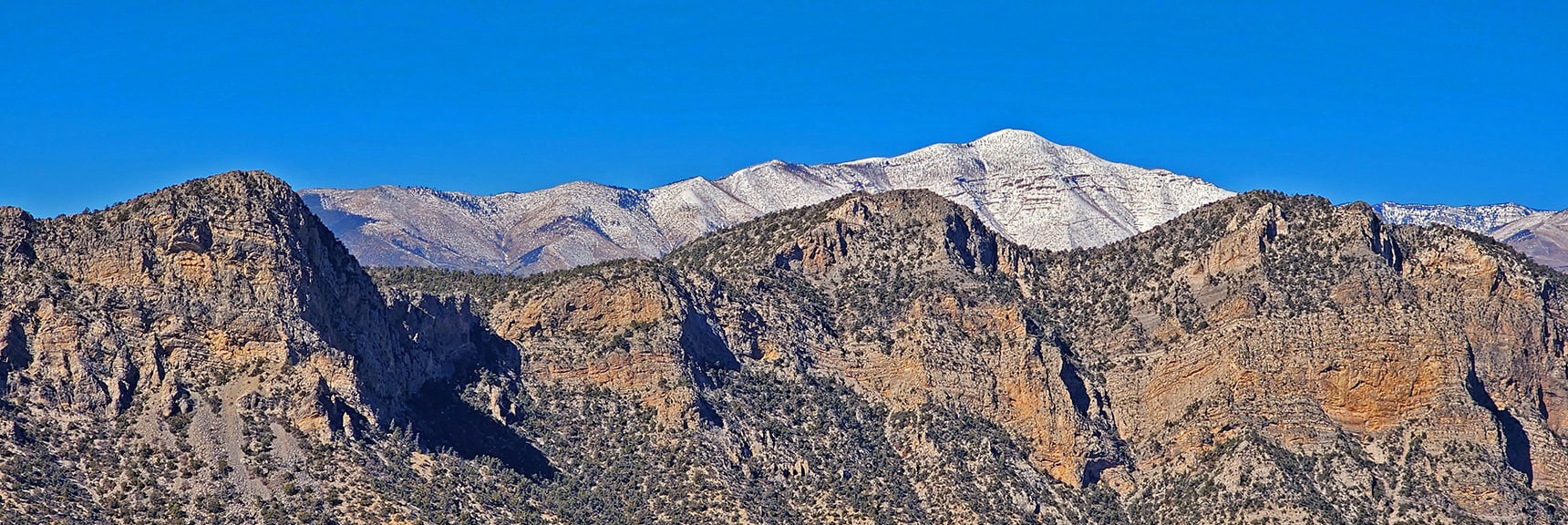 Griffith Peak with Sexton Ridge Descending to the Left (above Lovell Canyon) | Mid Upper Crest Ridgeline | Rainbow Mountain Wilderness, Nevada
