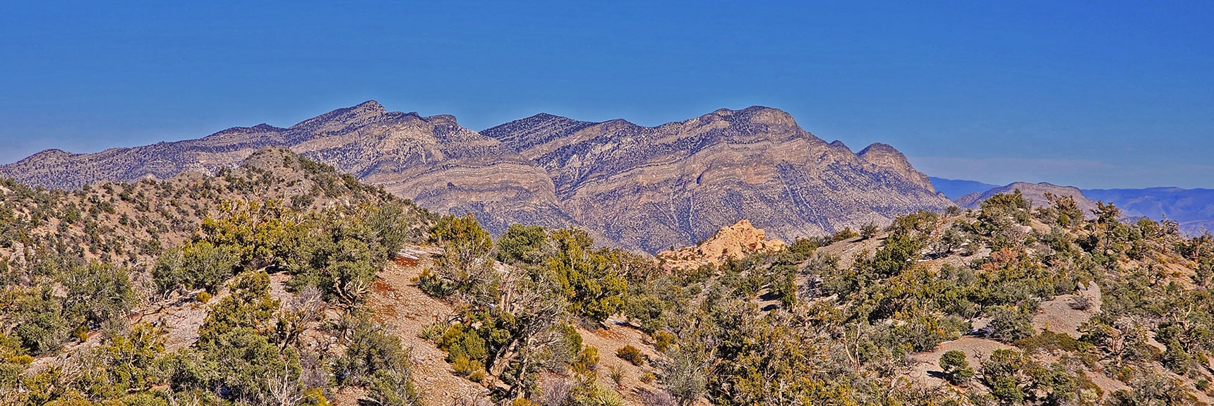View Back Toward La Madre Mountains. North Peak in Foreground (Left) | Mid Upper Crest Ridgeline | Rainbow Mountain Wilderness, Nevada