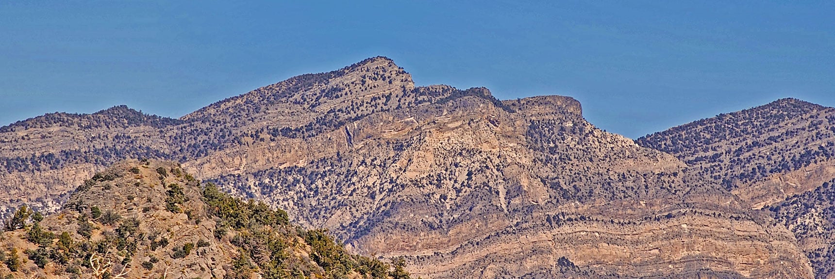 La Madre Mt (Center)? El Bastardo Mt to Right? | Mid Upper Crest Ridgeline | Rainbow Mountain Wilderness, Nevada