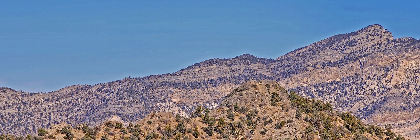 La Madre Mountain and its Western Descent Ridgeline? | Mid Upper Crest Ridgeline | Rainbow Mountain Wilderness, Nevada