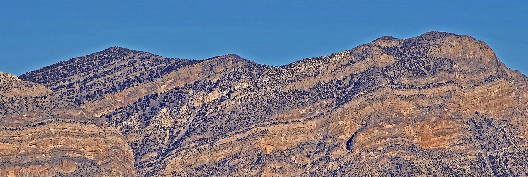 El Padre Mt (Right)? | Mid Upper Crest Ridgeline | Rainbow Mountain Wilderness, Nevada