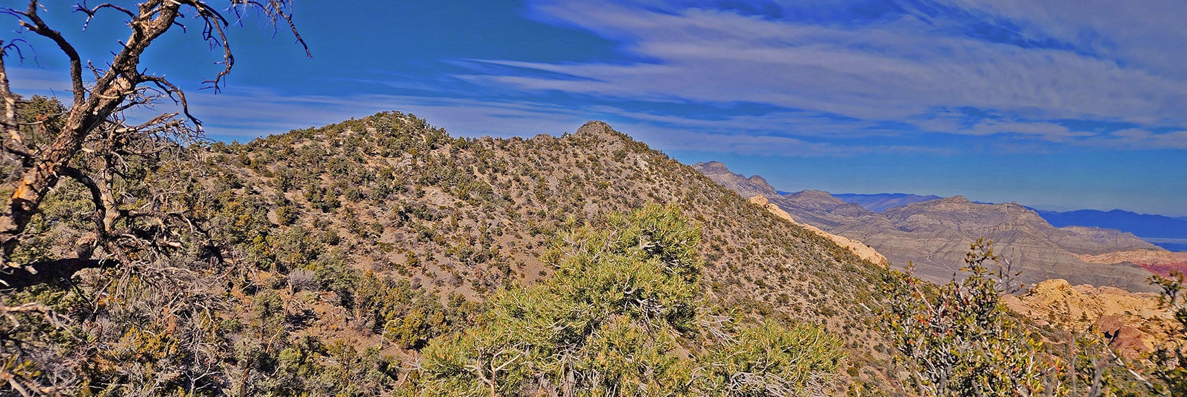 Heading Back Toward North Peak | Mid Upper Crest Ridgeline | Rainbow Mountain Wilderness, Nevada