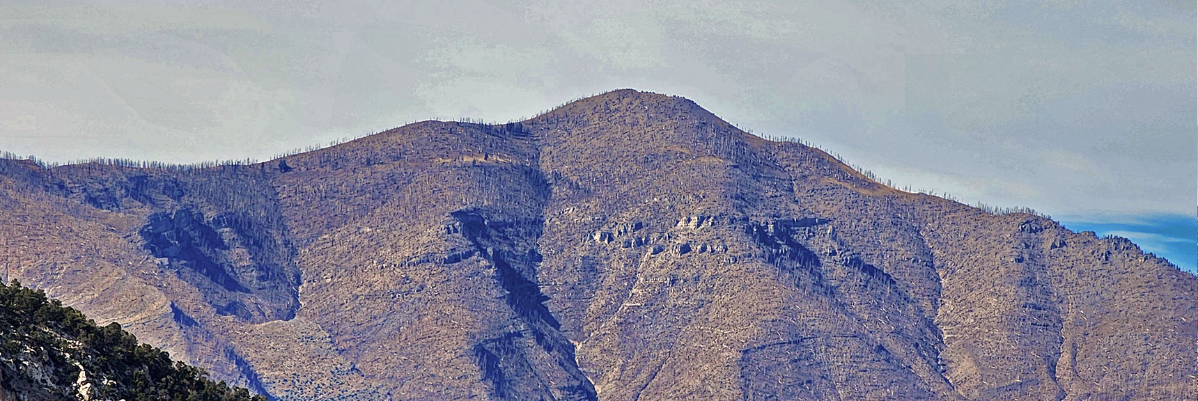 Zoom in on Griffith Peak | North Upper Crest Ridgeline | Rainbow Mountain Wilderness, Nevada