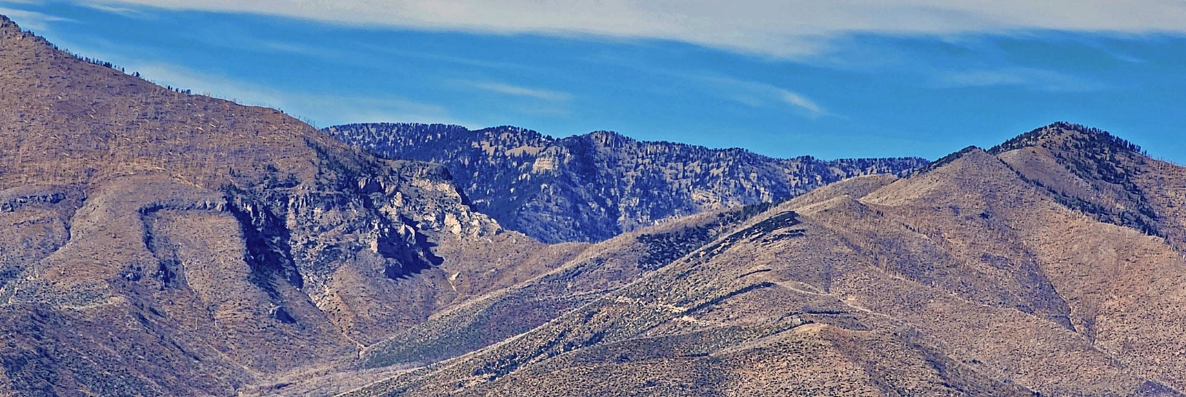Saddle Between Griffith Peak and Harris Mountain. West End of Charleston Loop Background | North Upper Crest Ridgeline | Rainbow Mountain Wilderness, Nevada