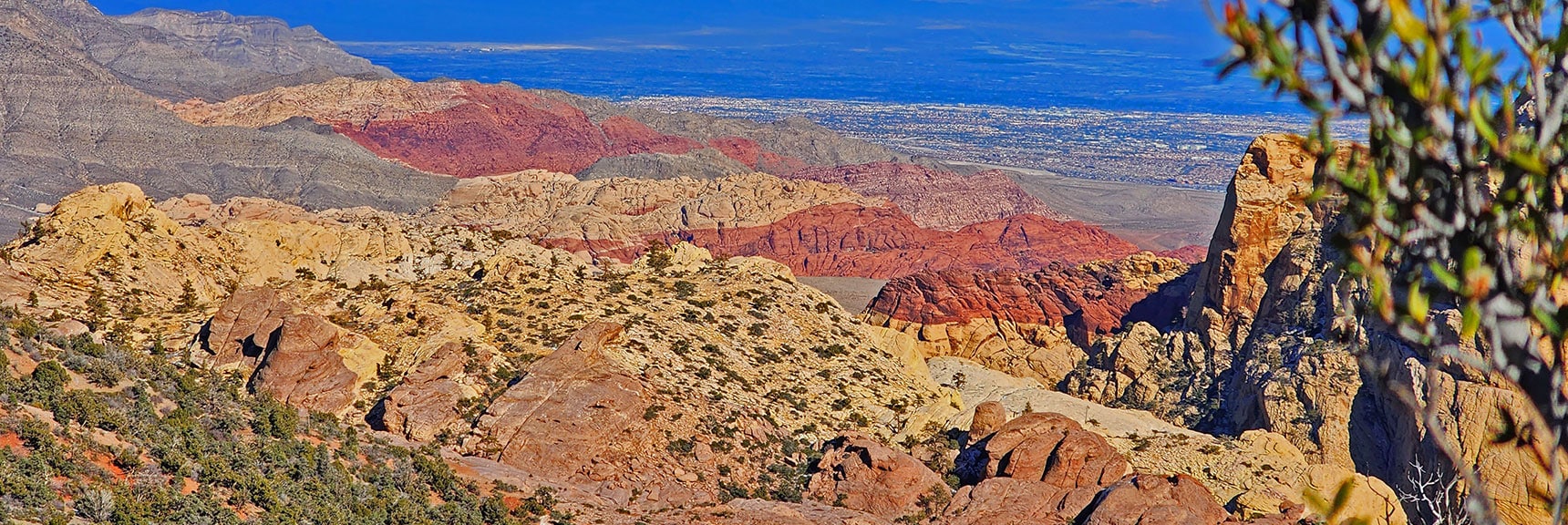 View Down into Red Rock Canyon, Calico Hills. | Mid Upper Crest Ridgeline | Rainbow Mountain Wilderness, Nevada