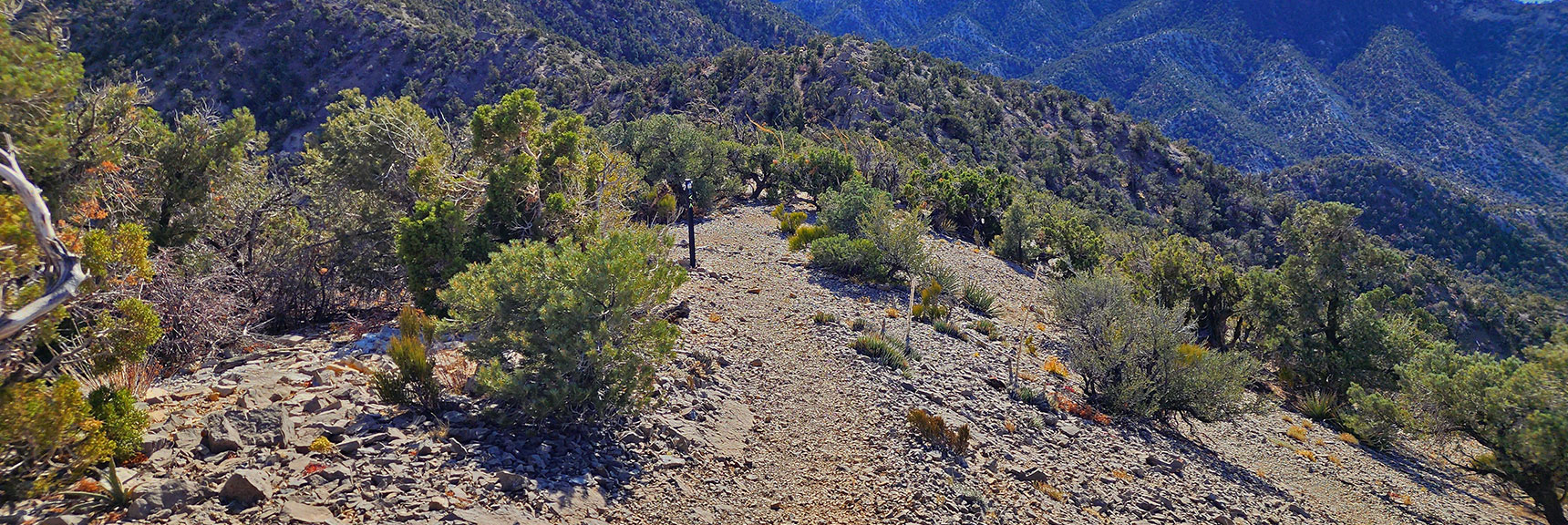 Trail Junction: Left to Bridge Mountain, Right to Rocky Gap Road | North Upper Crest Ridgeline | Rainbow Mountain Wilderness, Nevada
