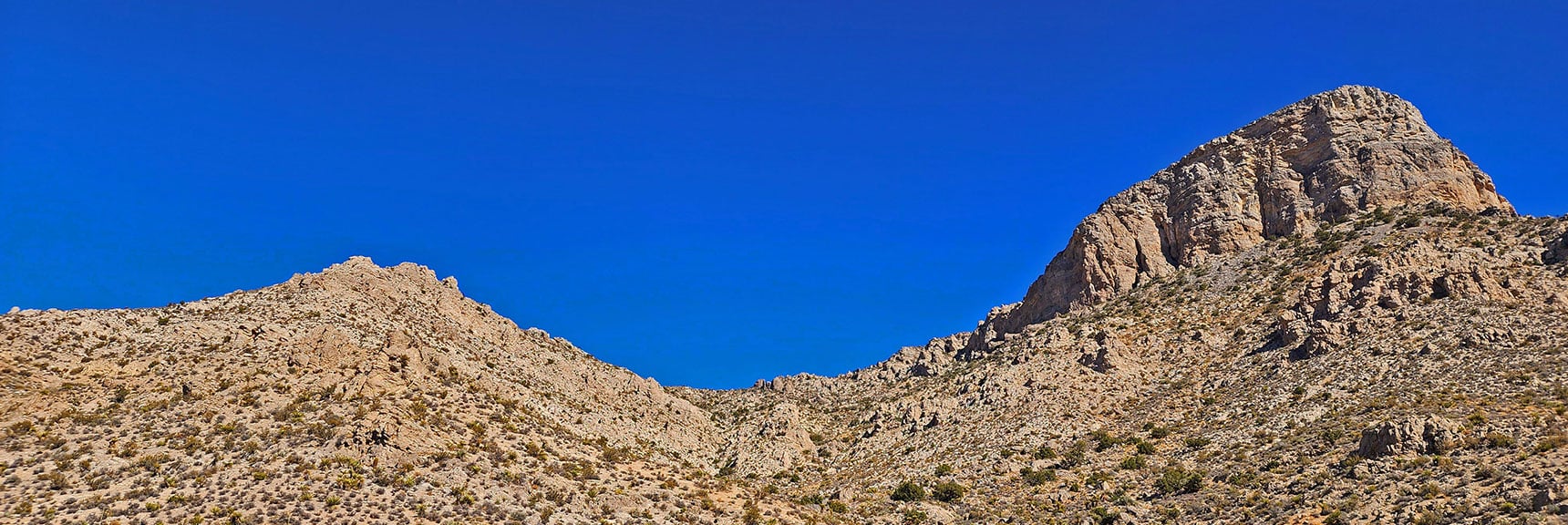 Main Trail in Gully (Center); Alternate Ascent Route Up Left Ridgeline | Turtlehead Peak | Red Rock Canyon National Conservation Area, Nevada