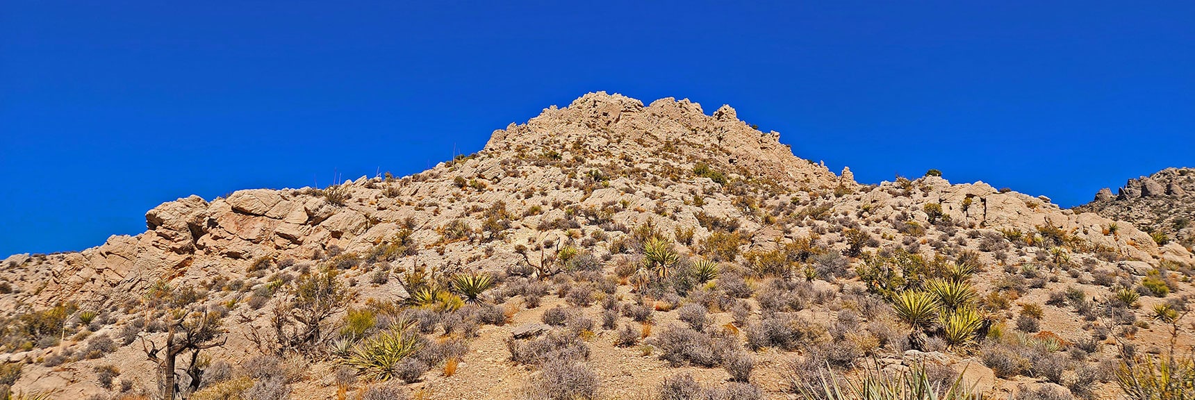 Alternate Route Will Circle Left Side of Hill to Reach High Center of Ridgeline | Turtlehead Peak | Red Rock Canyon National Conservation Area, Nevada