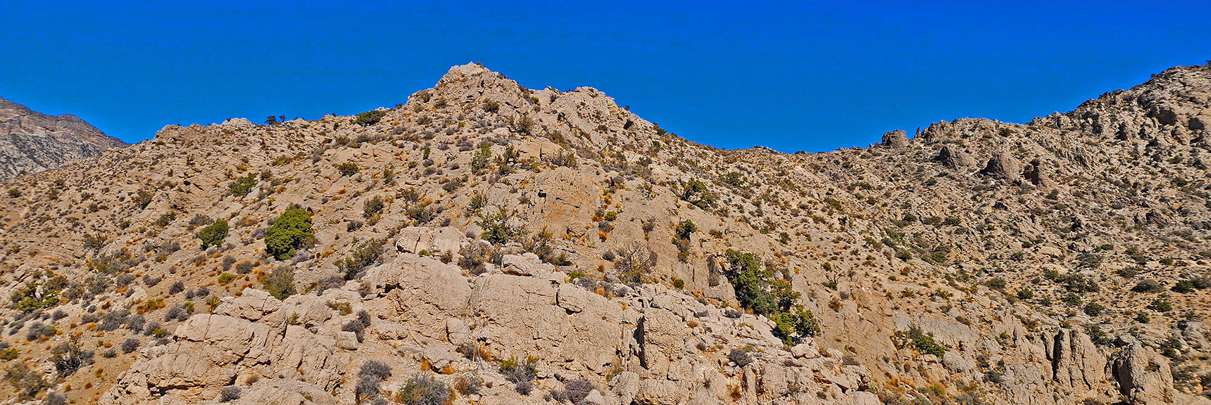Ascending Center of Ridgeline. Saddle to Right. More Gradual Than Gully Below. | Turtlehead Peak | Red Rock Canyon National Conservation Area, Nevada