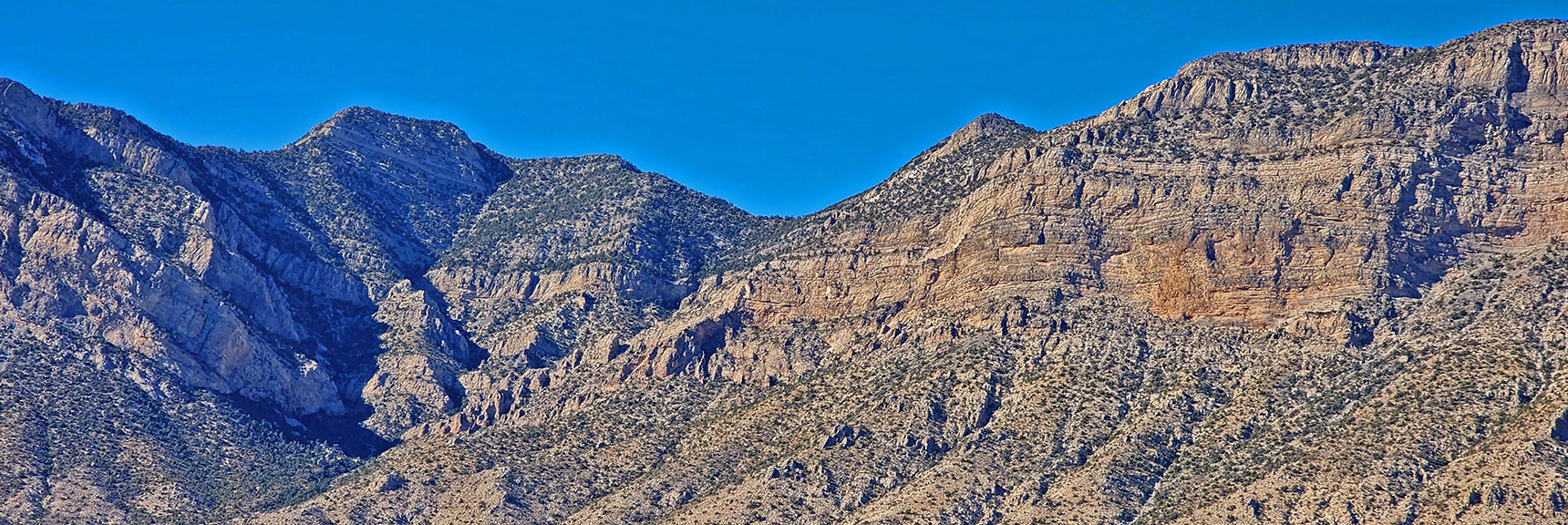 El Bastardo/Burnt Peak Saddle Area | Turtlehead Peak | Red Rock Canyon National Conservation Area, Nevada