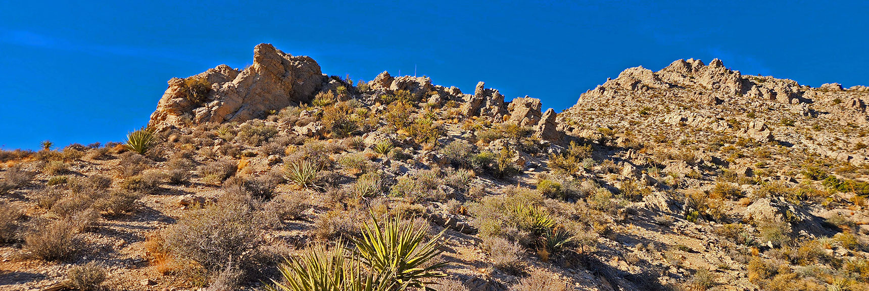 Leaving the Main Trail Toward the Alternate Left Ridgeline Summit Approach Route | Turtlehead Peak | Red Rock Canyon National Conservation Area, Nevada
