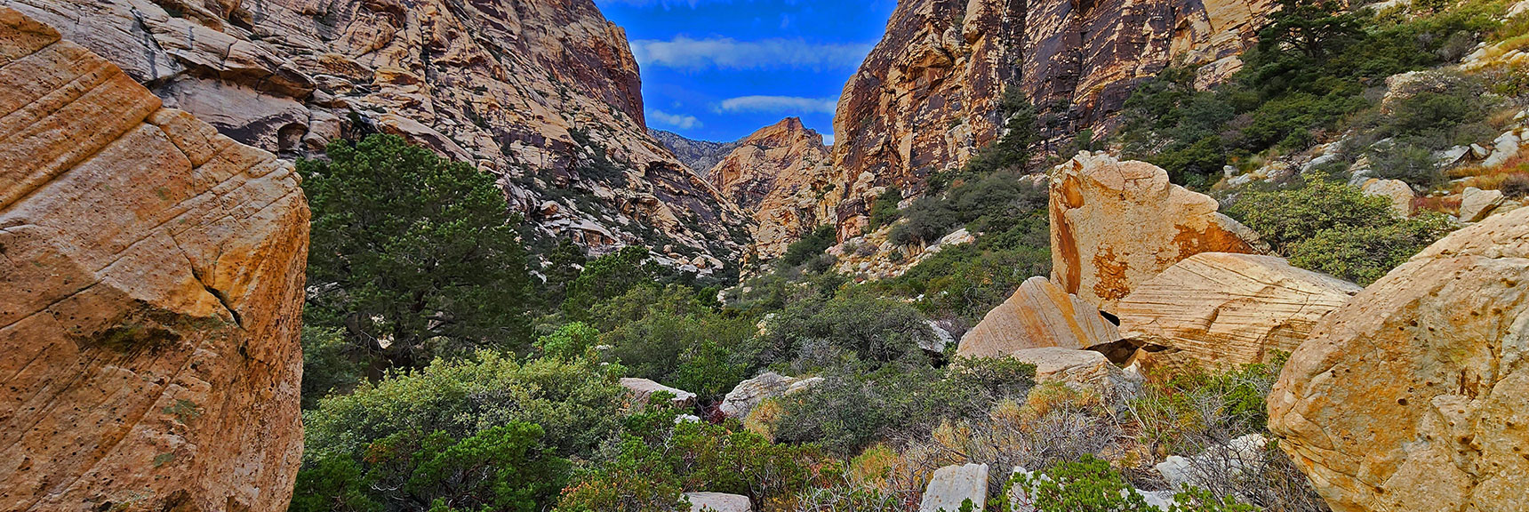 Brush and Boulders Throughout the Length of Oak Creek Canyon | Oak Creek Canyon North Branch Toward Rainbow Mountains Upper Crest Ridgeline | Rainbow Mountain Wilderness, Nevada