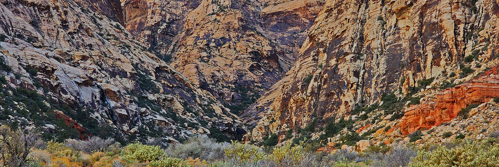 The Canyon Quickly Narrows, Will Soon Need to Descend into Brush and Boulders | Oak Creek Canyon North Branch Toward Rainbow Mountains Upper Crest Ridgeline | Rainbow Mountain Wilderness, Nevada
