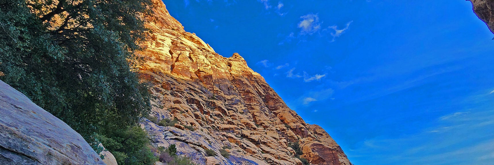 View Upward Toward Mt. Wilson's Cliffs | Oak Creek Canyon North Branch Toward Rainbow Mountains Upper Crest Ridgeline | Rainbow Mountain Wilderness, Nevada