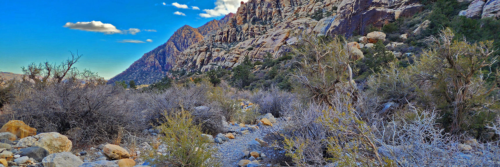 Again, Soon You'll Leave the Arid Desert and Enter a Lush Green Zone | Willow Spring Loop, Petroglyph Canyon, Lost Creek Canyon | Red Rock Canyon National Conservation Area, Nevada