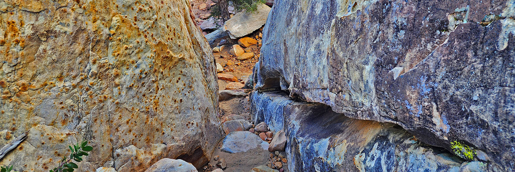 Taking the Loop in a Counterclockwise Direction Helps Avoid Missing This Narrow Turn | Willow Spring Loop, Petroglyph Canyon, Lost Creek Canyon | Red Rock Canyon National Conservation Area, Nevada
