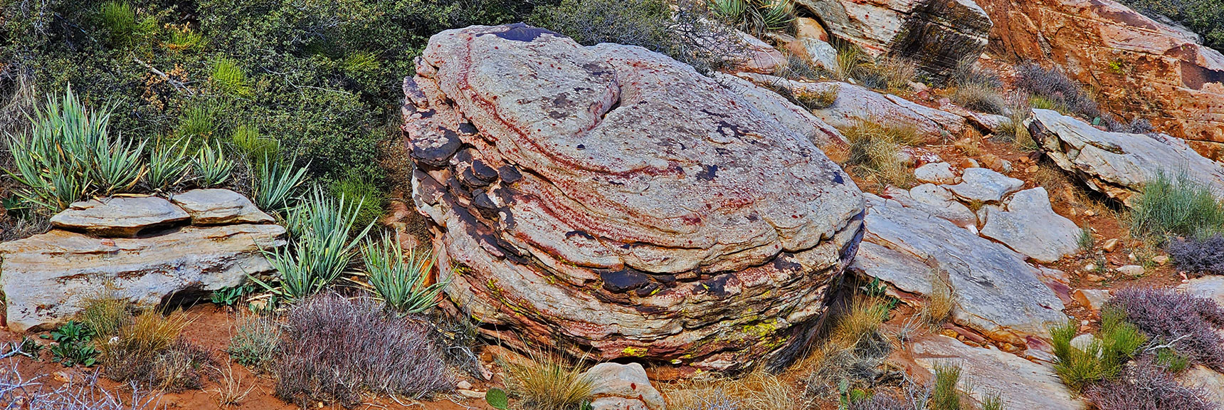 Every Boulder and Ledge is Slowly Etched by the Elements Over Time | Willow Spring Loop, Petroglyph Canyon, Lost Creek Canyon | Red Rock Canyon National Conservation Area, Nevada
