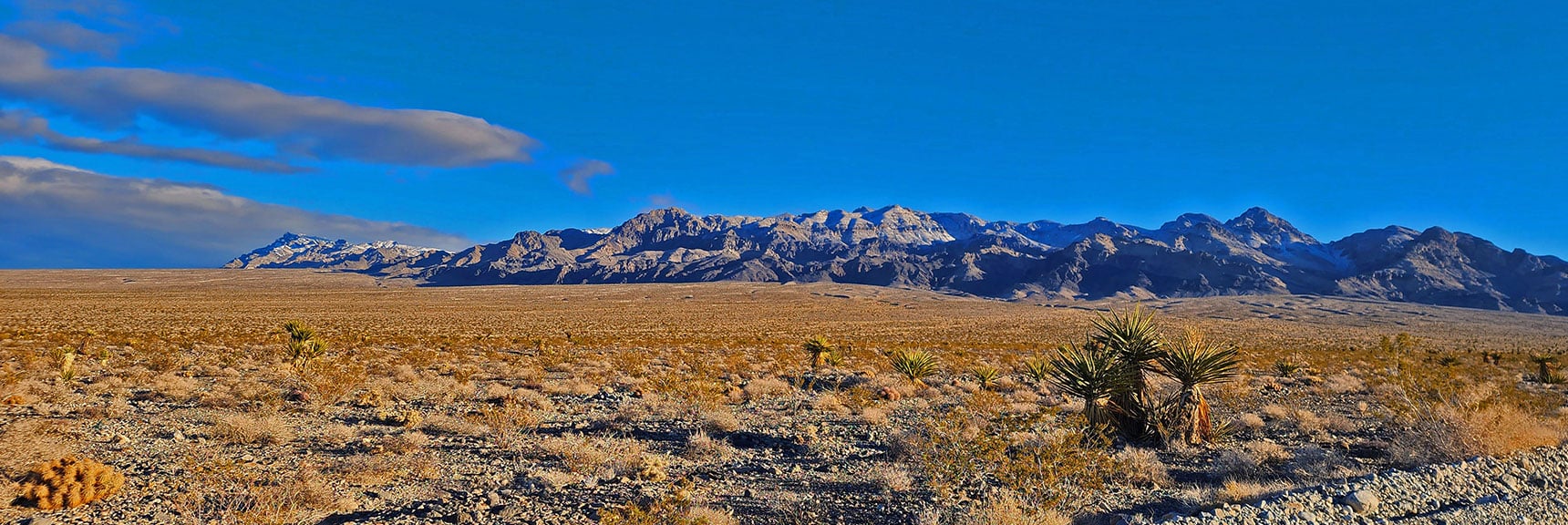 Large View of The Sheep Range from Mormon Well Road | Fossil Ridge Far East | Desert National Wildlife Refuge, Nevada