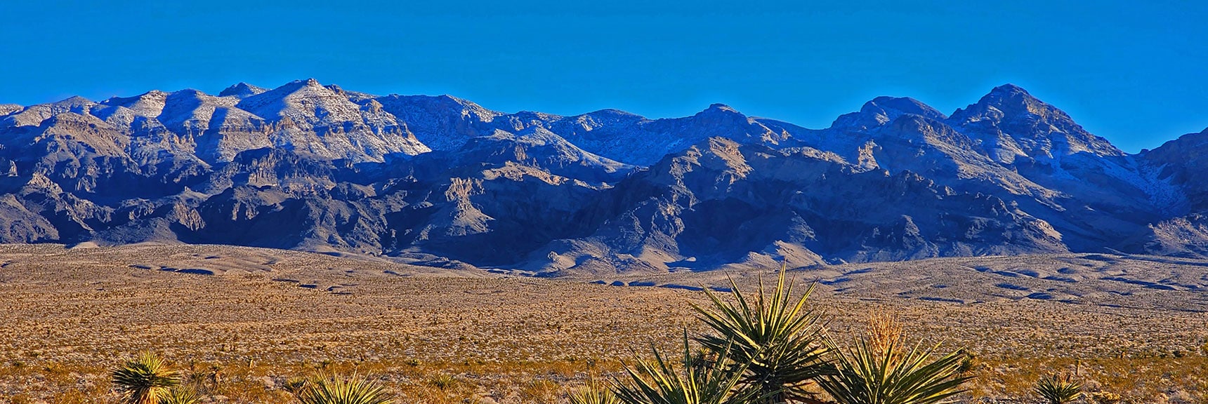 Southern Region of the Sheep Range | Fossil Ridge Far East | Desert National Wildlife Refuge, Nevada