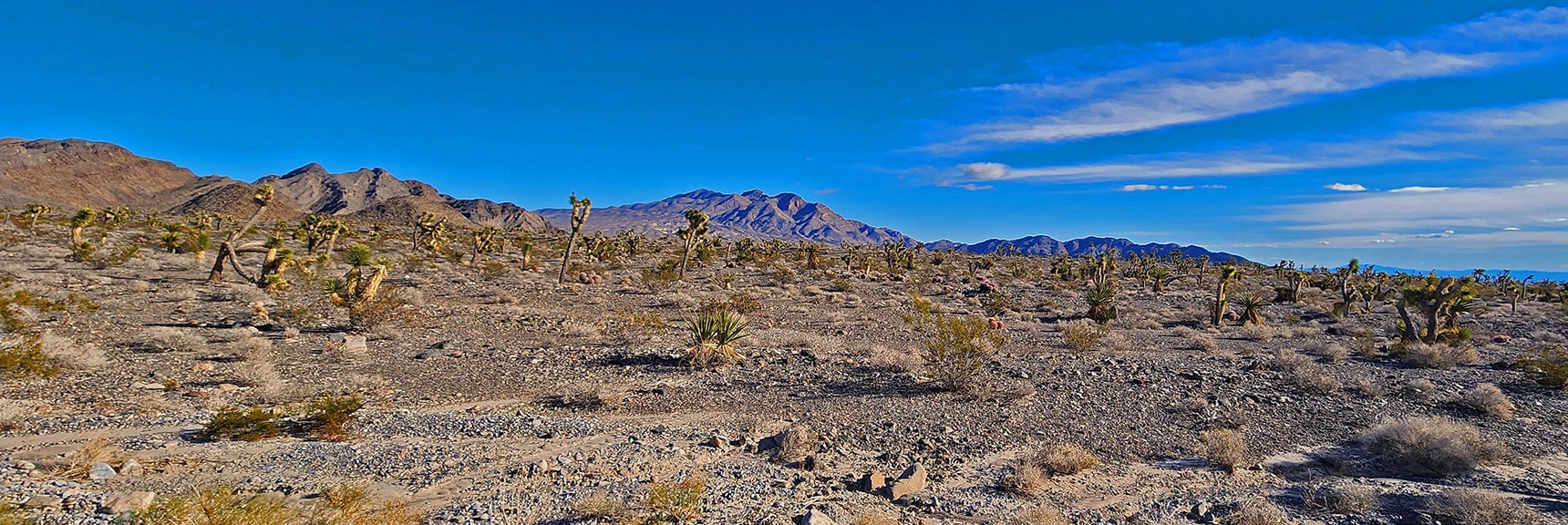 Gass Peak in the Distance | Fossil Ridge Far East | Desert National Wildlife Refuge, Nevada