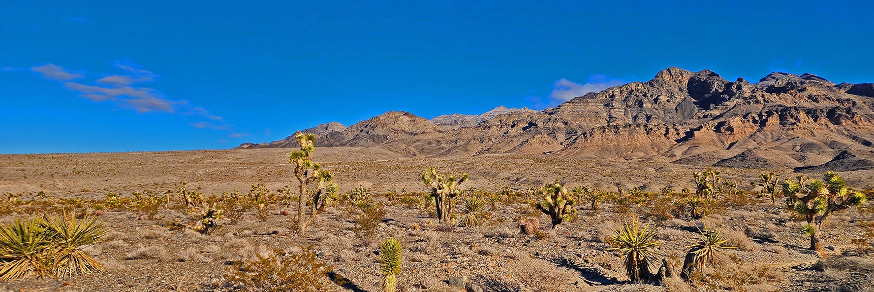 Northern Sheep Range Near Yucca Gap | Fossil Ridge Far East | Desert National Wildlife Refuge, Nevada